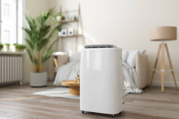 Best Ductless HVAC Repair  in Estill, SC